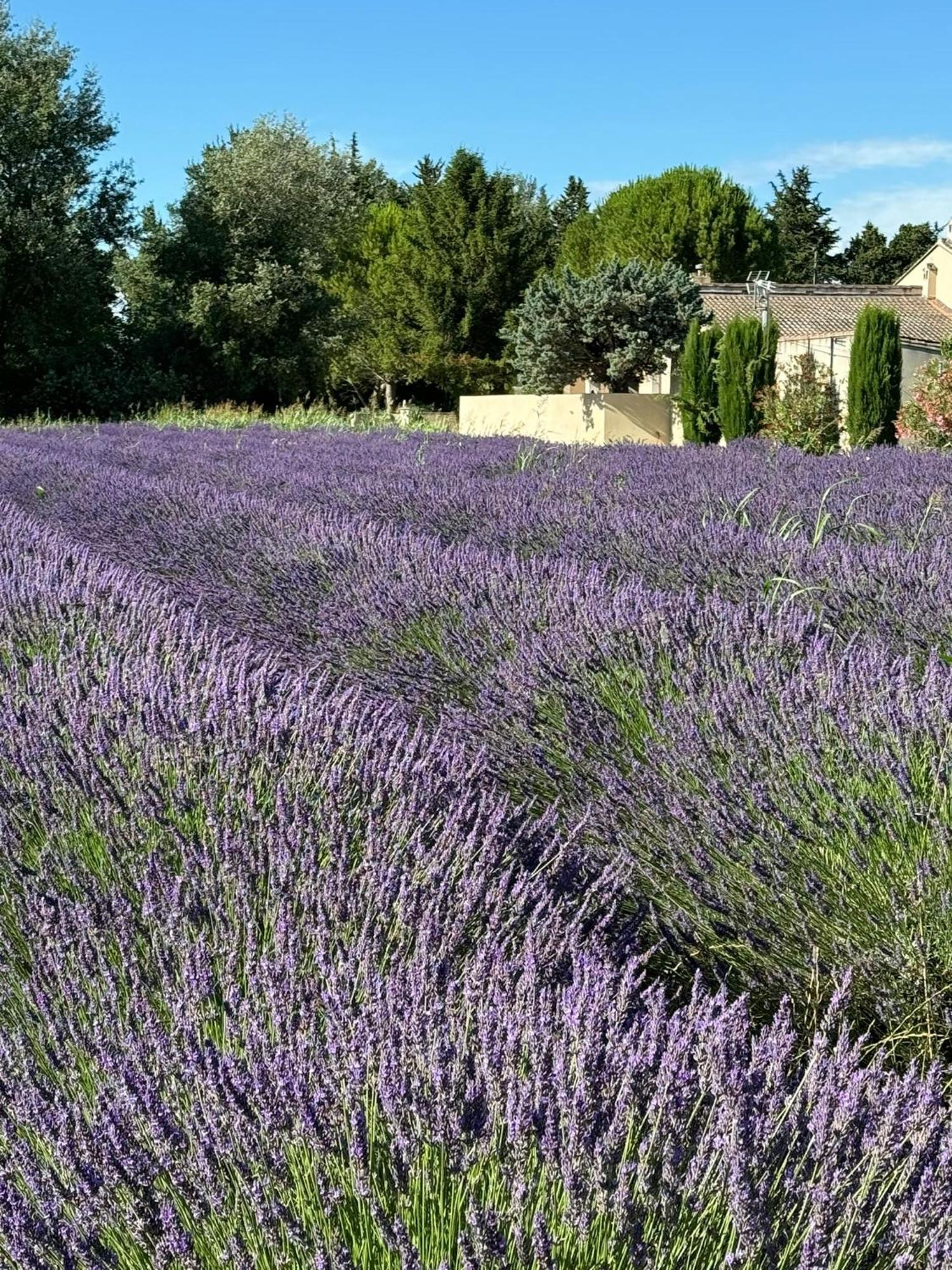 Appartement Neuf Et Au Calme Proche Avignon Althen-des-Paluds Exterior foto